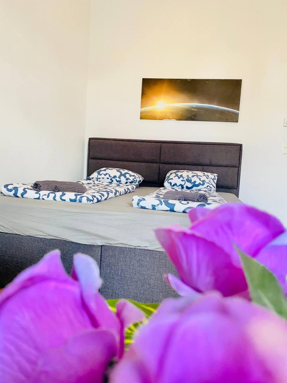 וינה Cozy Rooms In Brigittenau Area Mm23 מראה חיצוני תמונה