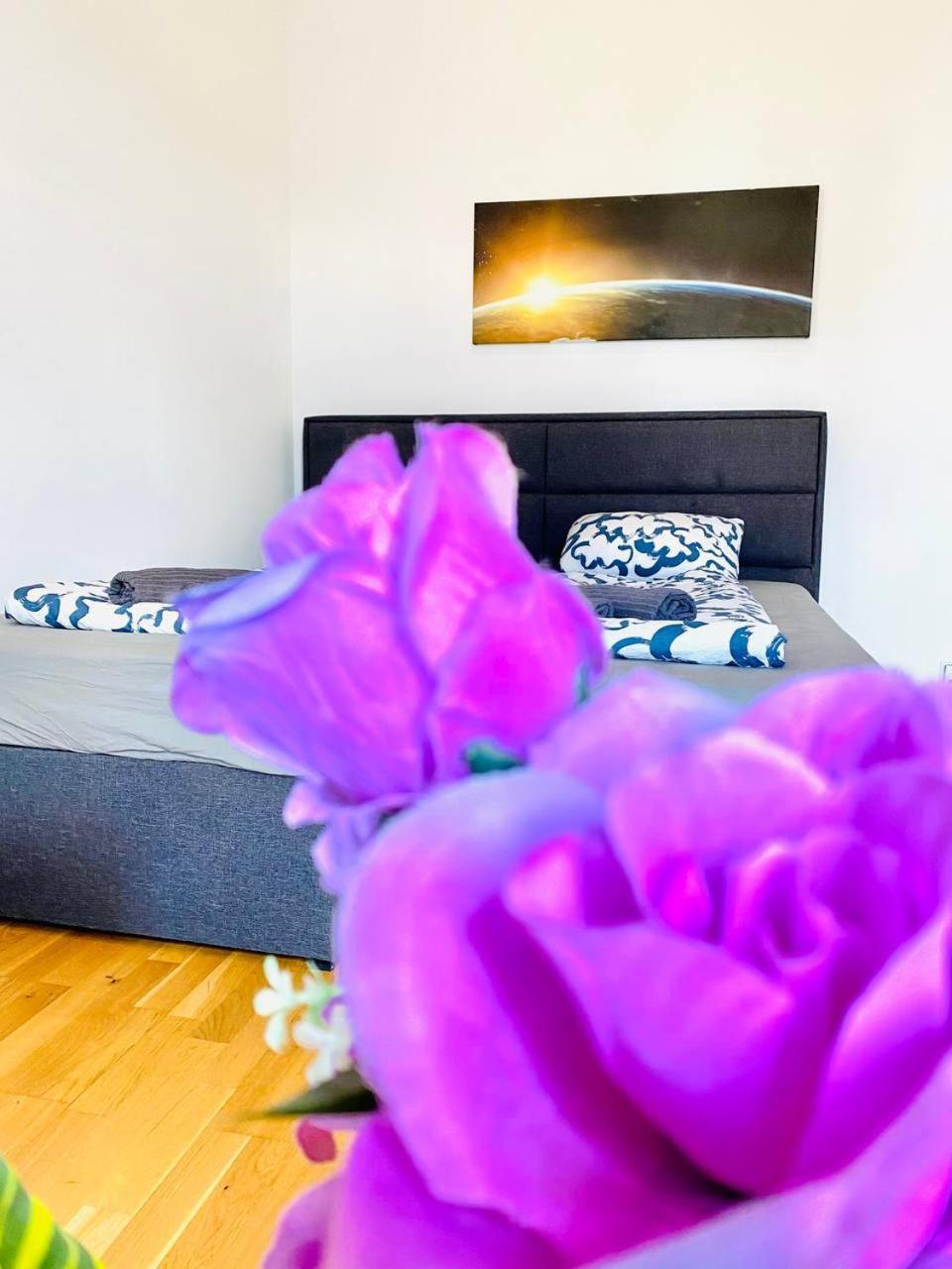 וינה Cozy Rooms In Brigittenau Area Mm23 מראה חיצוני תמונה